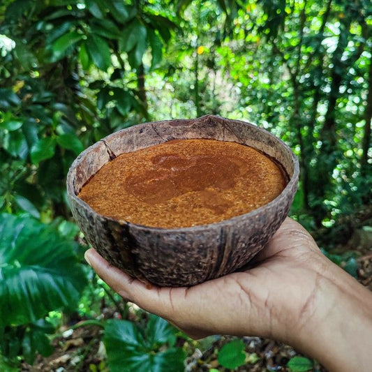 Coconut Palm Jaggery